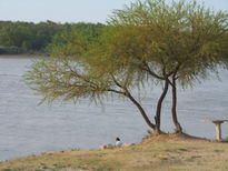 Costa- río- paisaje