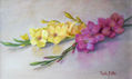 FLORES