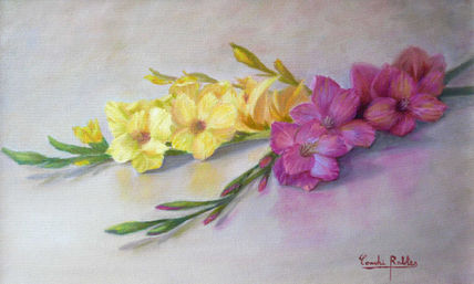Flores