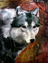 Lobo