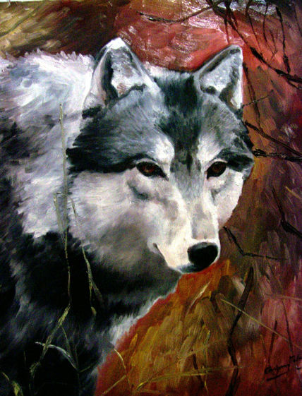 Lobo