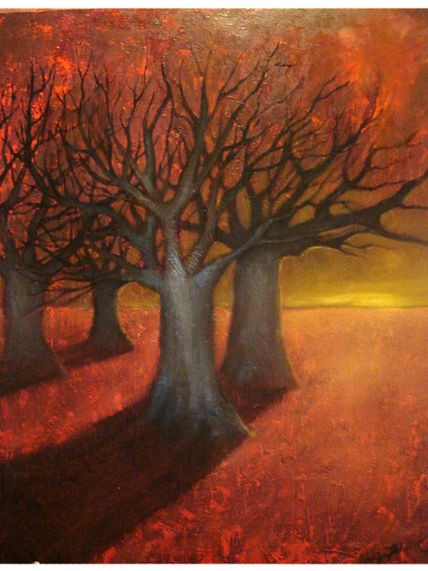 Bosque Encantado