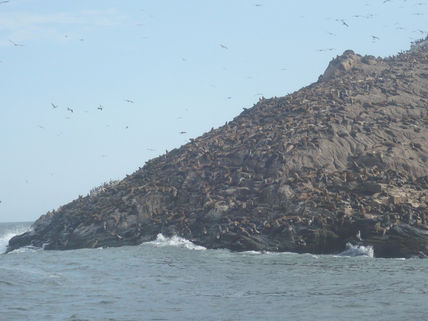 La bajada