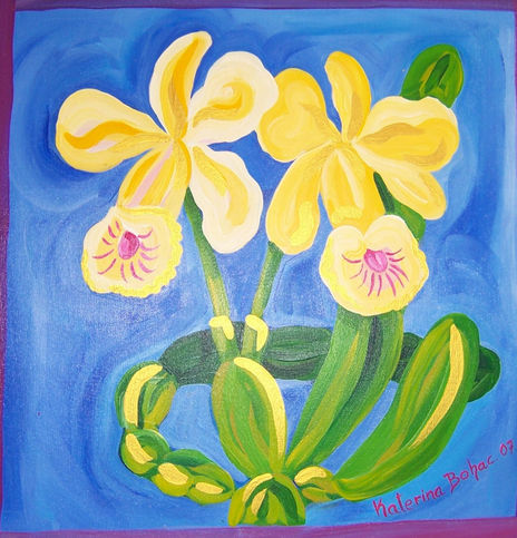 Orquidea
