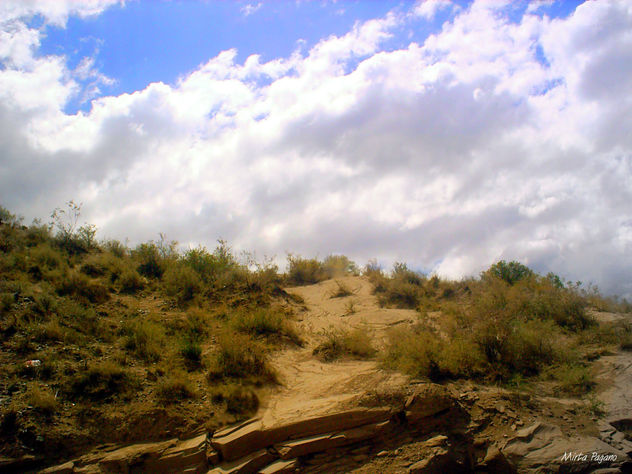 Potrerillo paisaje 6
