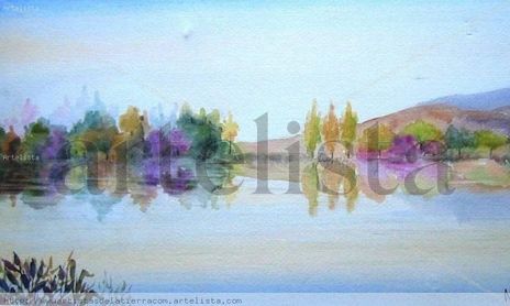 REFLEJOS