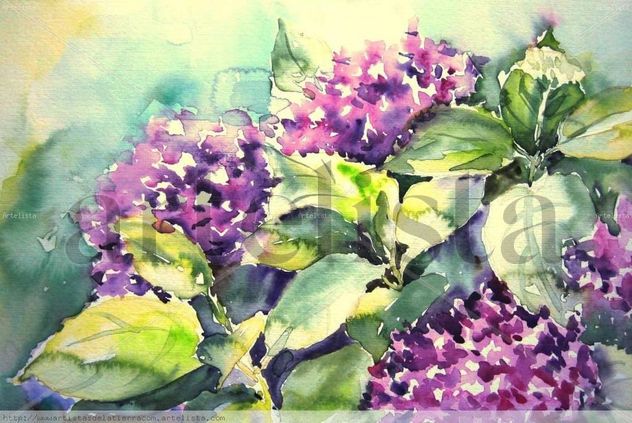 HORTENSIAS