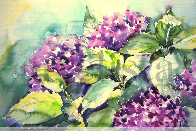 HORTENSIAS Watercolour Paper Floral Painting