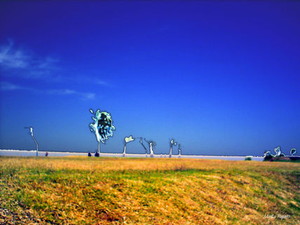 Costa de Vicente Lopez