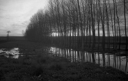 HUESCA Nature Black and White (Digital)