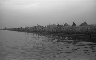 PESCADORES Nature Black and White (Digital)