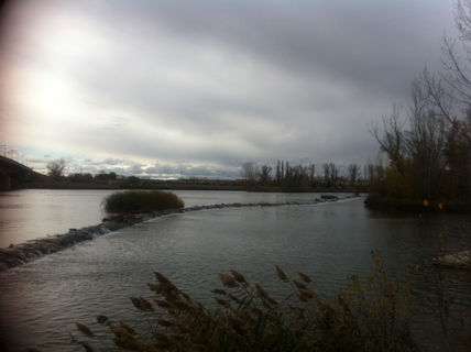 Parque de los