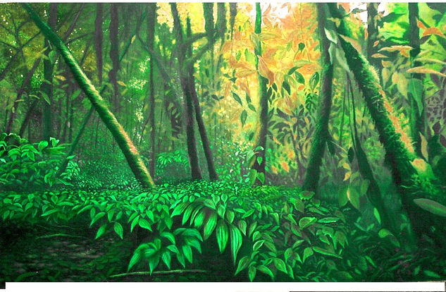 AMAZONAS Oil Canvas Landscaping