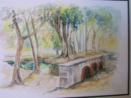 Parque de mayo