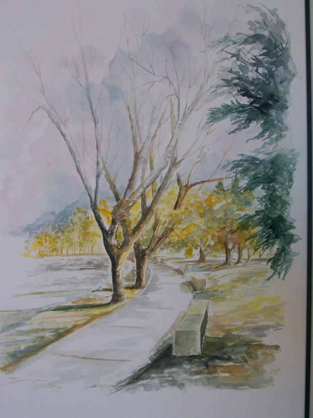 paseo matutino
