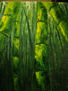 bosque de bambú