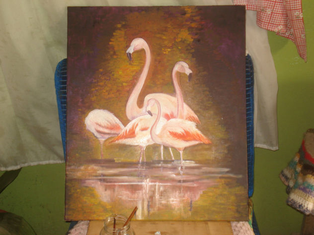 flamencos