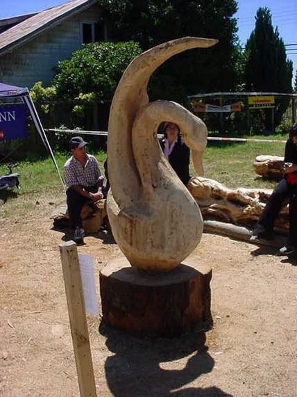 Cisnes de la patagonia