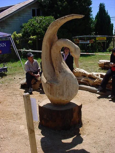 Cisnes de la patagonia