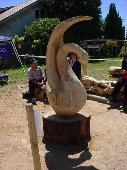 cisnes de la patagonia Wood Figurative