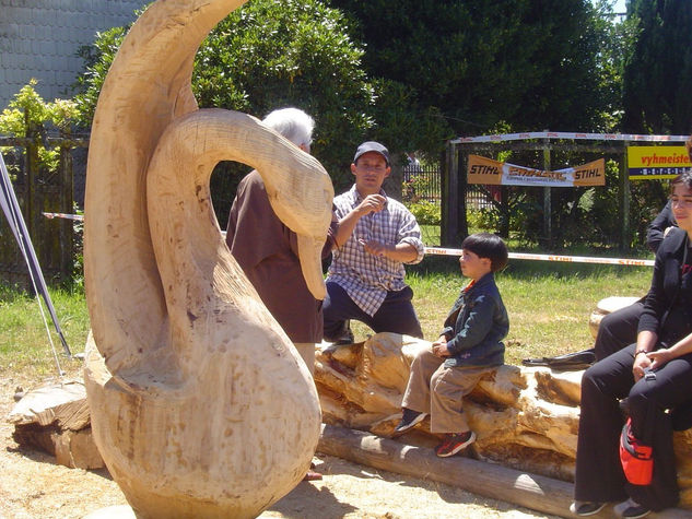 cisne eterno Madera Figurativa