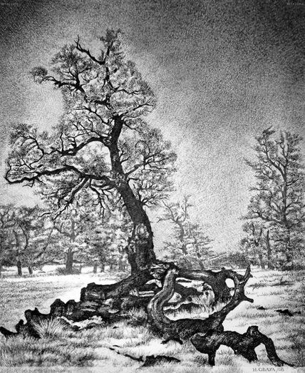 El bosque de los...