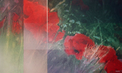 Amapolas 2