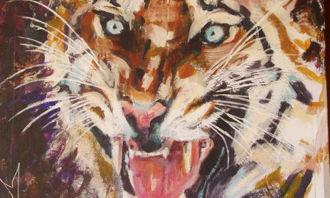 Animales