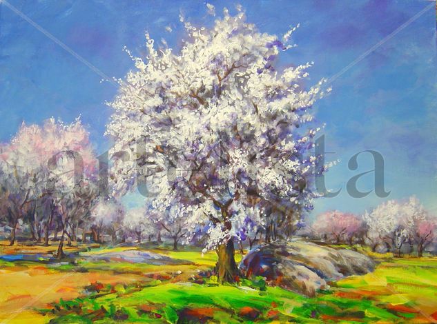 Almendros en flor Acrylic Canvas Landscaping