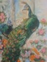 plumas reales