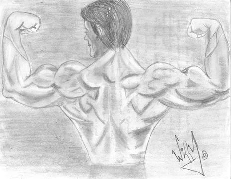 Arnold