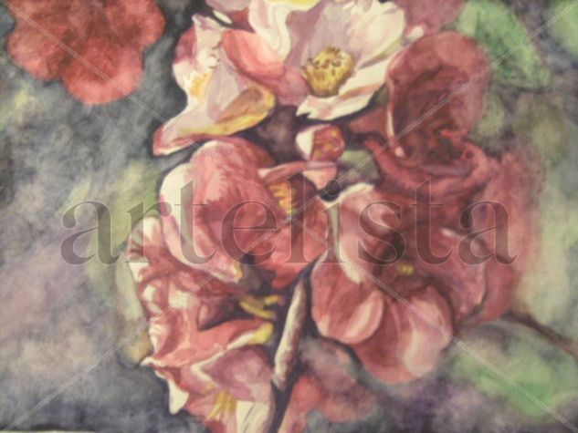 PRIMAVERA Watercolour Paper Floral Painting