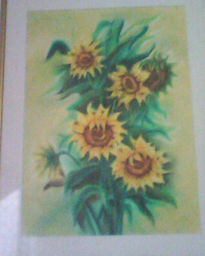 Girasoles