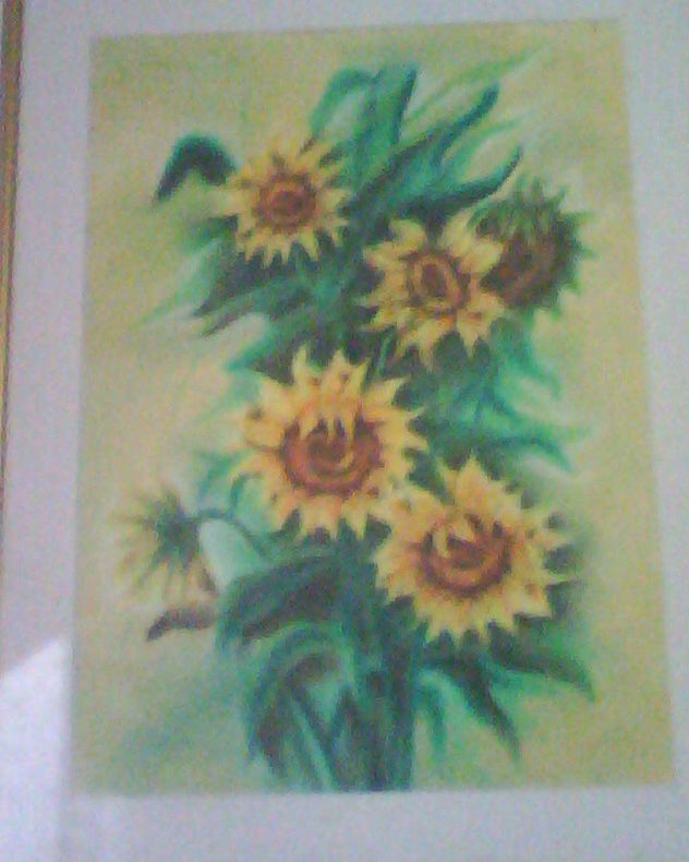 girasoles