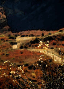 Flores de otoño