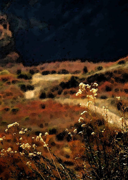 Flores de otoño