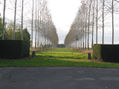 avenida  de arboles  francia