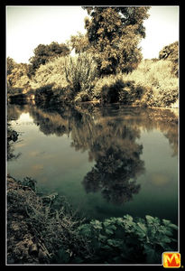 Reflejos