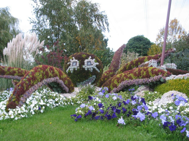 pulpo de  flores  francia