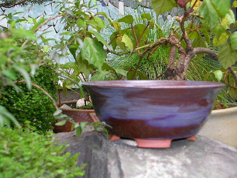 Macetero para bonsai