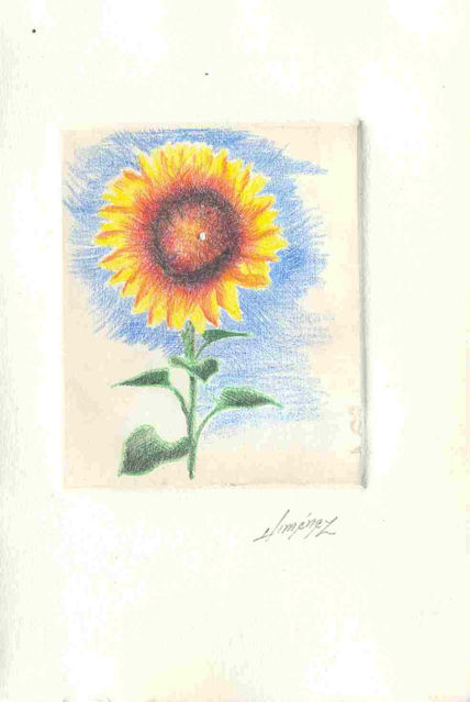 Girasol