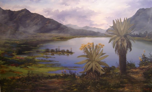 FRAILEJONES EN EL SUMAPAZ