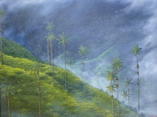 NEBLINA  EN COCORA