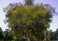Nuestros espacios vesdes