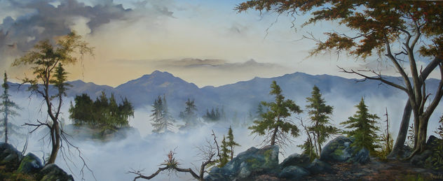 NEBLINA EN LA CUMBRE