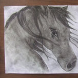 carboncillo thumbnail 1