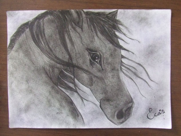 Caballo Charcoal