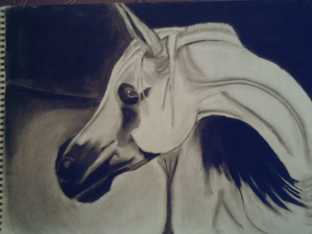 CABALLO Graphite Paper Animals