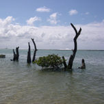 Fotos thumbnail 1