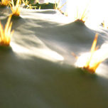 Macros thumbnail 1